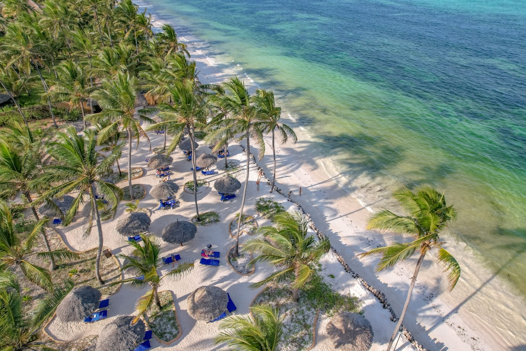 Tropical beach with palm trees and clear turquoise water