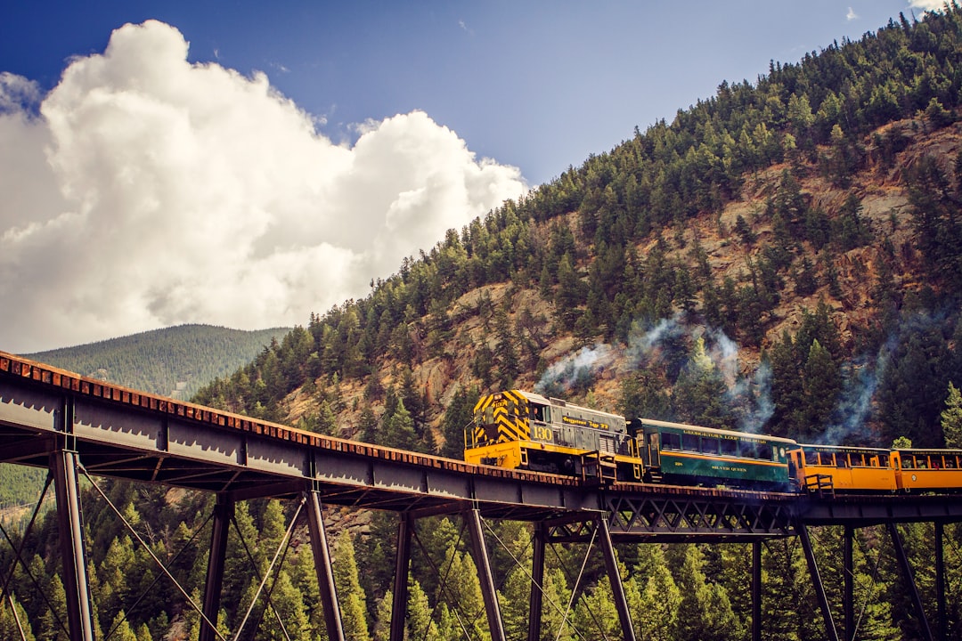 yellow and blue train on rail tracks near green trees under white clouds and blue sky