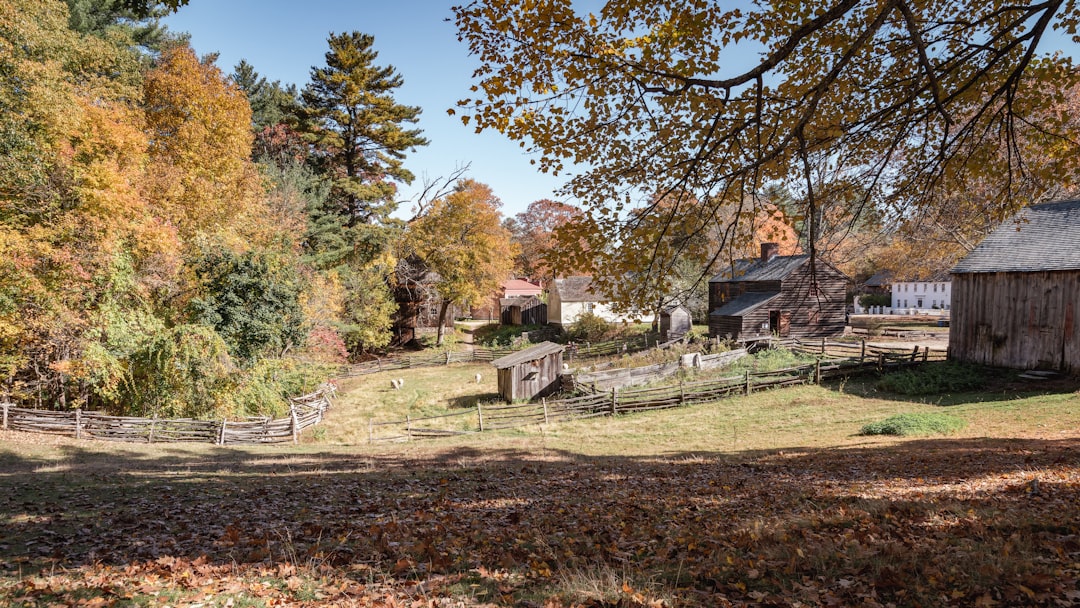 a field with trees and houses